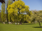 4164931_G; Alster, Hamburg, Germany; Profil: Rowald;