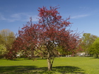 4164926_G; Alster, Hamburg, Germany; Profil: Rowald;