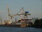 Cranes; Profile: Rowald; 