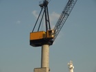 Cranes; Profile: Rowald; 