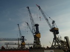 Cranes; Profile: Rowald; 