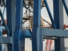Cranes