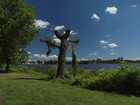 PA102575; Alser; Hamburg, Germany; Profil: Rowald;