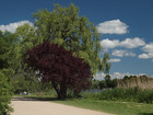 PA102591; Alser; Hamburg, Germany; Profil: Rowald;