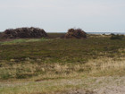 P5300816; Læsø, Danmark; Profile: Rowald;