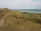 P5300843; Læsø, Danmark; Profile: Rowald;