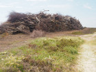 P5300847; Læsø, Danmark; Profile: Rowald;