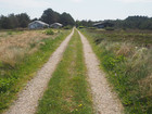 P5300857; Læsø, Danmark; Profile: Rowald;