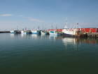P5300867;  Læsø, Danmark; Profil: Rowald; 