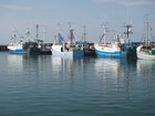 P5300868; Læsø, Danmark; Profile: Rowald;