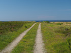 P6031207; Læsø, Danmark; Profile: Rowald;