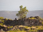 PB211955; Hawaii, Big Island, Kilauea...; Profil: Rowald;