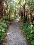 PB200990; Hawaii, Big Island, Kilauea...; Profil: Rowald;