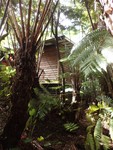 PB200997;  Hawaii, Big Island, Kilauea...; Profile: Rowald; 