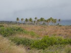 PB211061;  Hawaii, Big Island, Kilauea...; Profil: Rowald; 