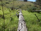 PB150811; Hawaii, Maui, Olinda; Profil: Rowald;
