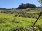 PB150812; Hawaii, Maui, Olinda; Profil: Rowald;