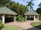 PB190961;  Hawaii, Big Island, Kona, V...; Profile: Rowald; 