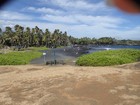 PB190976; Hawaii, Big Island, Kona, V...; Profil: Rowald;