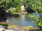 PB201893; Hawaii, Big Island, Kona, V...; Profile: Rowald;