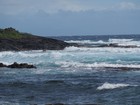PB201901;  Hawaii, Big Island, Kona, V...; Profile: Rowald; 