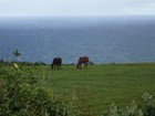 PB190934;  Hawaii, Big Island, Hawi; Profile: Rowald; 