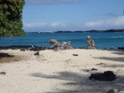 PB180897; Hawaii, Big Island, Kona, M...; Profil: Rowald;