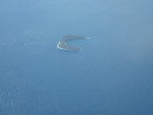 PB221185; Hawaii, Big Island, Maui; Profile: Rowald;