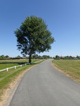 P5241497; Fuenen, DK; Profile: Rowald;