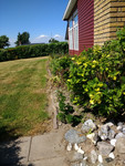 IMG_20180523_142602891; Fuenen, DK; Profil: Rowald;