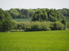 P5252465; Fuenen, DK; Profile: Rowald;