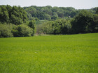 P5252466;  Fuenen, DK; Profil: Rowald; 