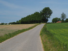 P5252470; Fuenen, DK; Profile: Rowald;
