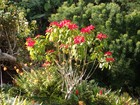 PC211755; Profil: Rowald; 