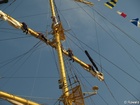 P5078626