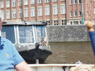 P6134052; Rowald; © Rowald; Amsterdam, NL; Profil: Rowald;