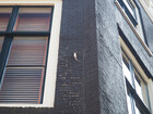 P6154224; Rowald; © Rowald; Amsterdam, NL; Profil: Rowald;