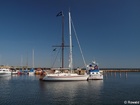MV276240; Aalbaek, Danmark; Profil: Rowald;