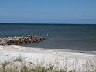 MV316822; Saeby, Danmark; Profil: Rowald;