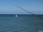 MV316812; Saeby, Danmark; Profil: Rowald;
