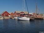 MV276241; Aalbaek, Danmark; Profil: Rowald;
