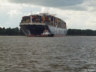 CMA CGM Magellan - mv127407