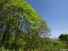 P5062735