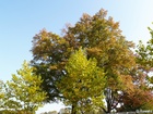 A100644; © Rowald;  Hamburg, Germany; Profil: Rowald; 