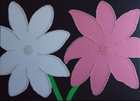 white and pink Sister; 50 x 70 cm; EUR 125,-; Profil: Gitta;