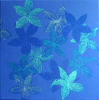 Bluesterne\n50 x 50 cm\nEUR 90,-