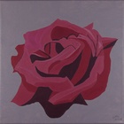 Rose 2; 30 x 30 cm; EUR 45,-; Profil: Gitta;