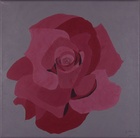 Rose 1; 30 x 30 cm; EUR 45,-; Profil: Gitta;