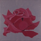 Rose 3; 30 x 30 cm; EUR 45,-; Profil: Gitta;
