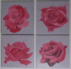 Rosenserie; EUR 130,-; Profil: Gitta;